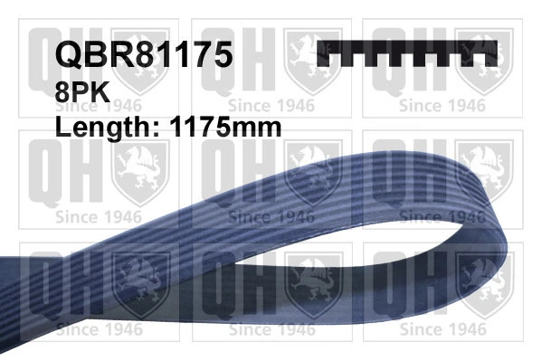 QBR81175 QUINTON HAZELL