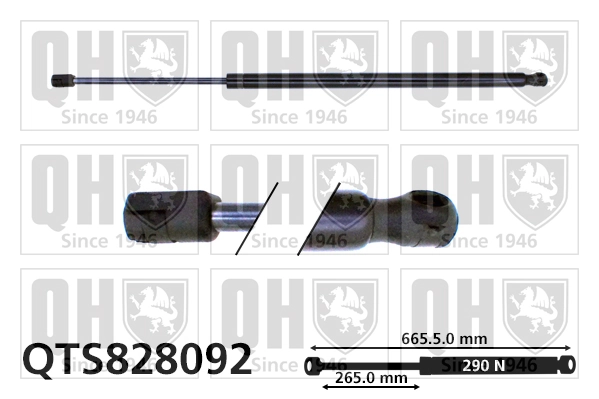  Renault Megane III desde 16,98 €