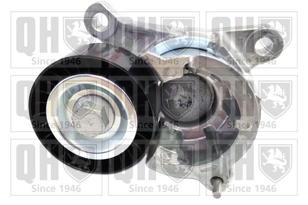 Reguladora de tensão da correia de transmissão Peugeot 206  2D