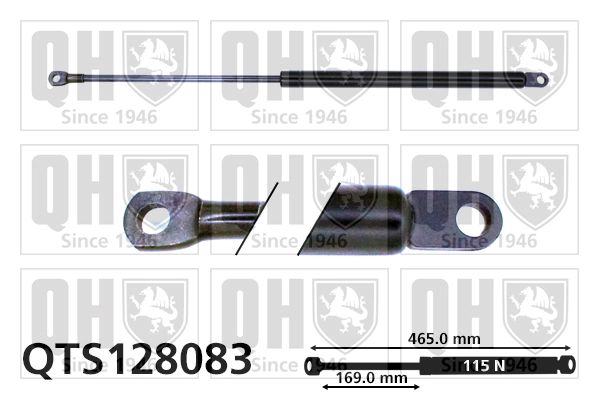 Compre Amortecedor de tampa de porta-malas (de 3ª/5ª porta traseira) Suzuki Swift 1