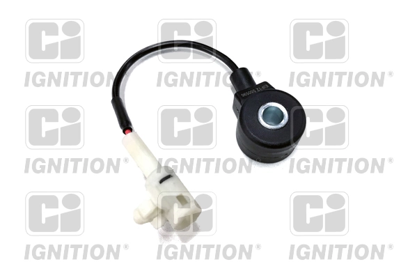 Comprar  Legacy I BC