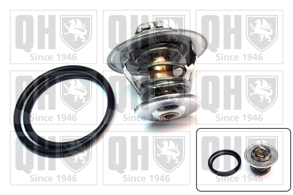 Compre 94410612905 VAG Termostato