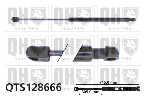  Amortecedor da capota BMW 7 sedan (E65, E66, E67) (2001 - 2008) 