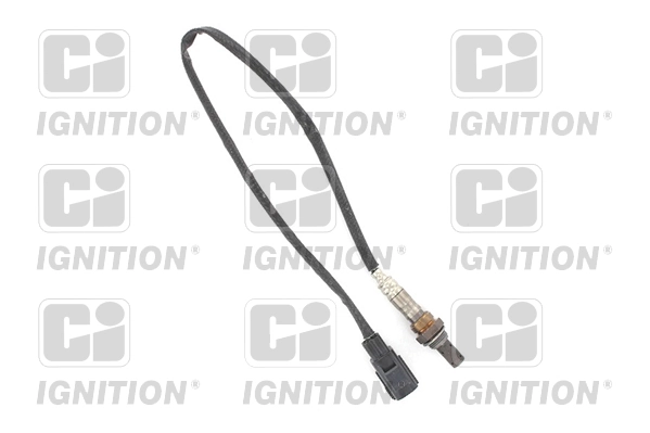 XLOS1546 QUINTON HAZELL