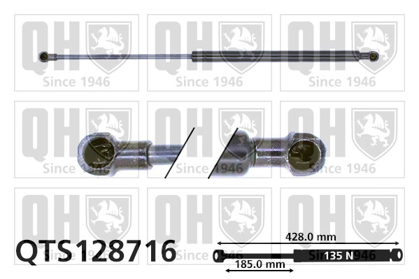 QTS128716 QUINTON HAZELL