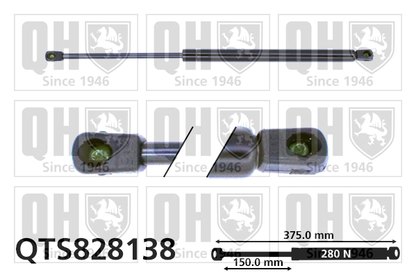  Amortecedor da capota Audi A8 D3 sedan (4E2, 4E8) (2002 - 2010) D3