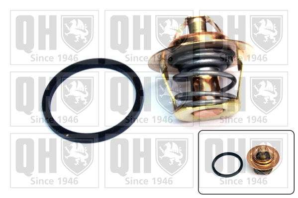Termostato 5495311 Fiat/Alfa/Lancia