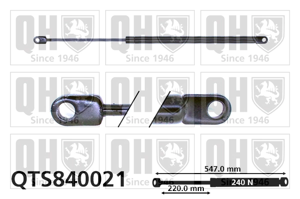 QTS840021 QUINTON HAZELL