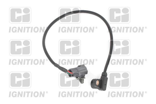 XREV505 QUINTON HAZELL