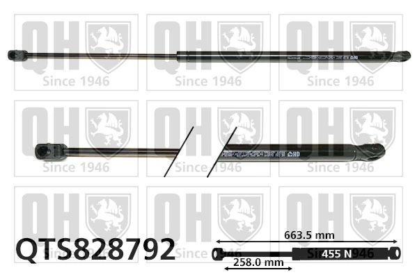 9812446280 Peugeot/Citroen Amortecedor de tampa de porta-malas (de 3ª/5ª porta traseira)