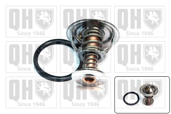  Daihatsu Terios  desde 19,21 €