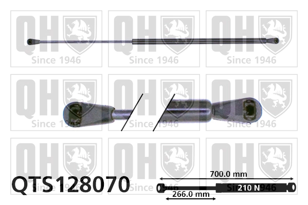 Compre 7700756056 Renault (RVI) Amortecedor de tampa de porta-malas (de 3ª/5ª porta traseira)