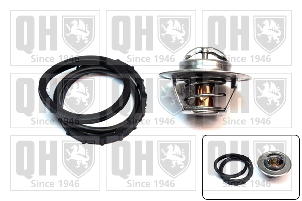 Compre Termostato Renault 21 