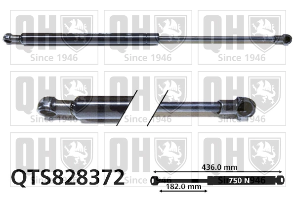 Amortecedor de tampa de porta-malas (de 3ª/5ª porta traseira) GS1331 Magneti Marelli