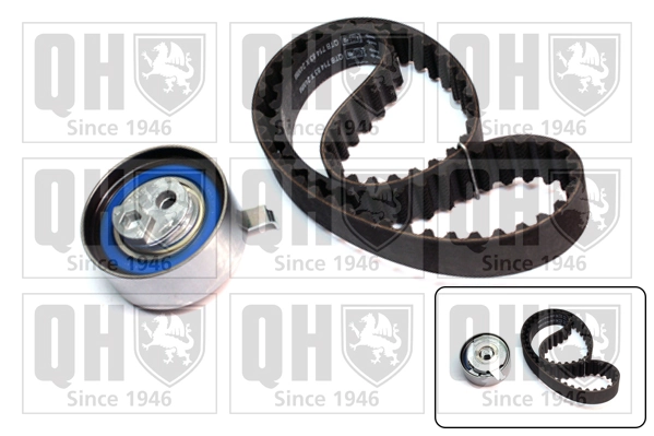 Correia do mecanismo de distribuição de gás, kit Audi A8 D3 4E2, 4E8