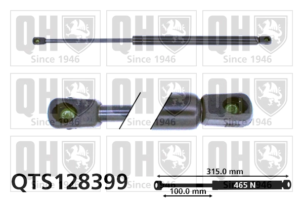 Amortecedor de tampa de porta-malas (de 3ª/5ª porta traseira) Magneti Marelli 430719032000