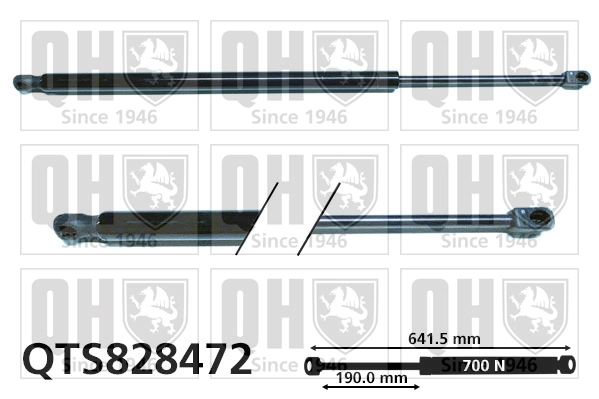 904520418R Renault (RVI) Amortecedor de tampa de porta-malas (de 3ª/5ª porta traseira)