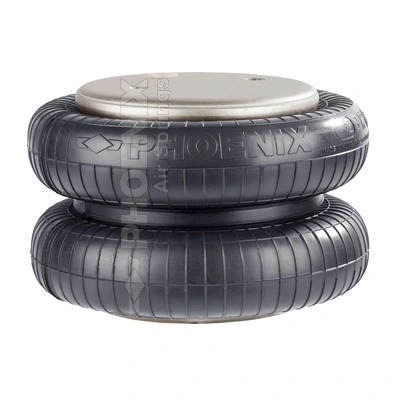 Compre FT220 Ford Coxim pneumático (suspensão de lâminas pneumática) do eixo