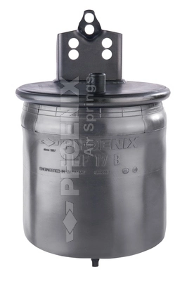 Compre RML77527C Blacktech Coxim pneumático (suspensão de lâminas pneumática) do eixo