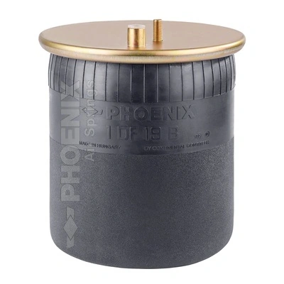 Compre 81436010175 MAN Coxim pneumático (suspensão de lâminas pneumática) do eixo