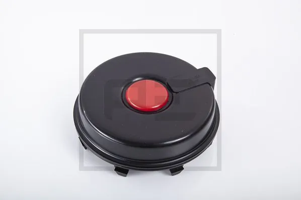 4304010200 SAF Tampão de cubo
