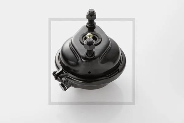 Compre 4454106560C SAF Câmara do freio (Acumulador de energia)