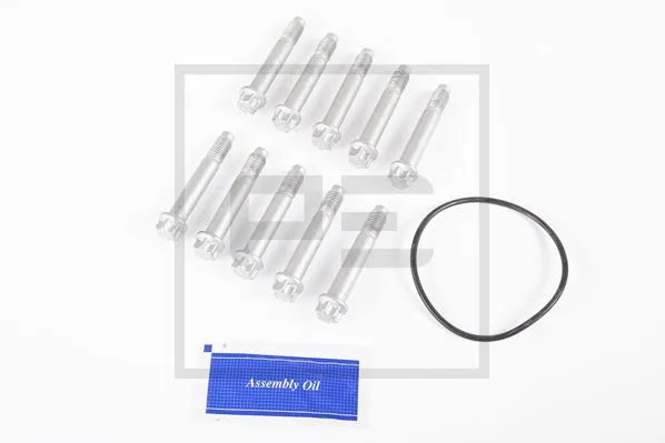 Compre 1011907 Schmitz Parafuso do freio de suporte