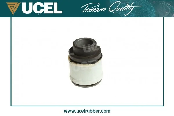 Bloco silencioso (coxim) de viga dianteira (de plataforma veicular) Renault (RVI) 544660001R