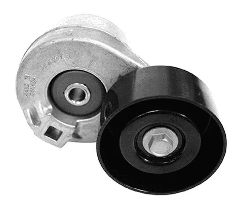 Reguladora de tensão da correia de transmissão para Ford Transit V V184/5