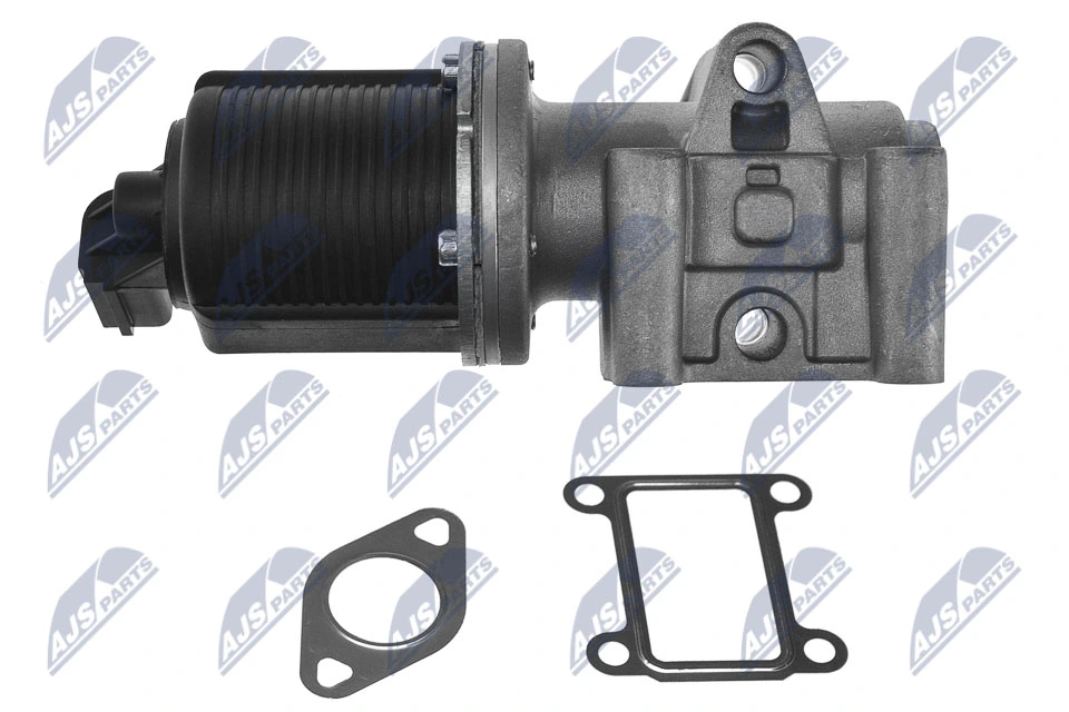 Compre EGRAR000 NTY Válvula EGR de recirculação dos gases