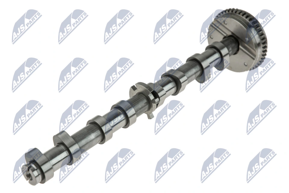 RKZVW001 NTY Árvore distribuidora de motor de admissão