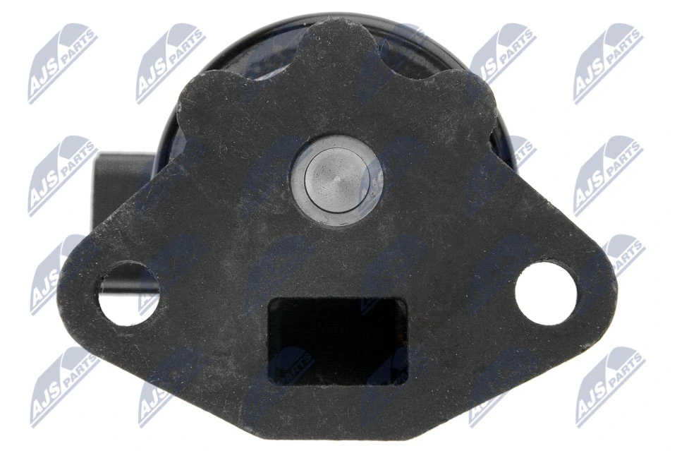 Válvula EGR de recirculação dos gases EGRHD006 NTY