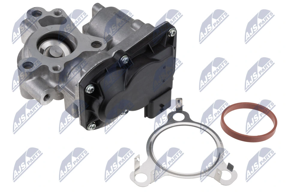 Compre Válvula EGR de recirculação dos gases Renault Scenic 