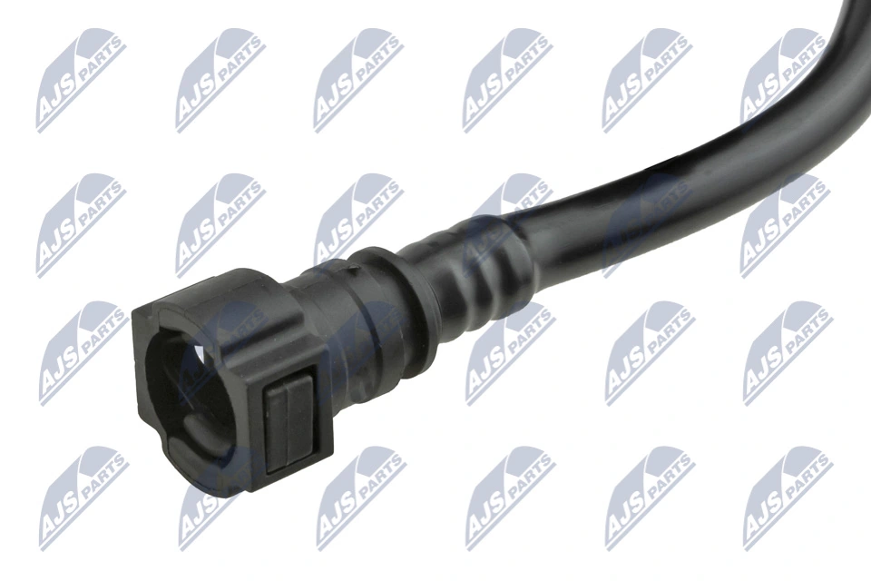  BPPFR005 NTY