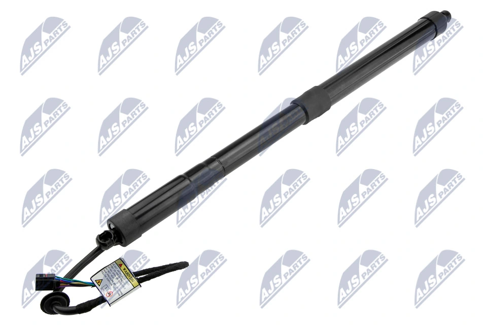 Amortecedor de tampa de porta-malas (de 3ª/5ª porta traseira) Hyundai Santa Fe IV TM, TMA ao melhor preço