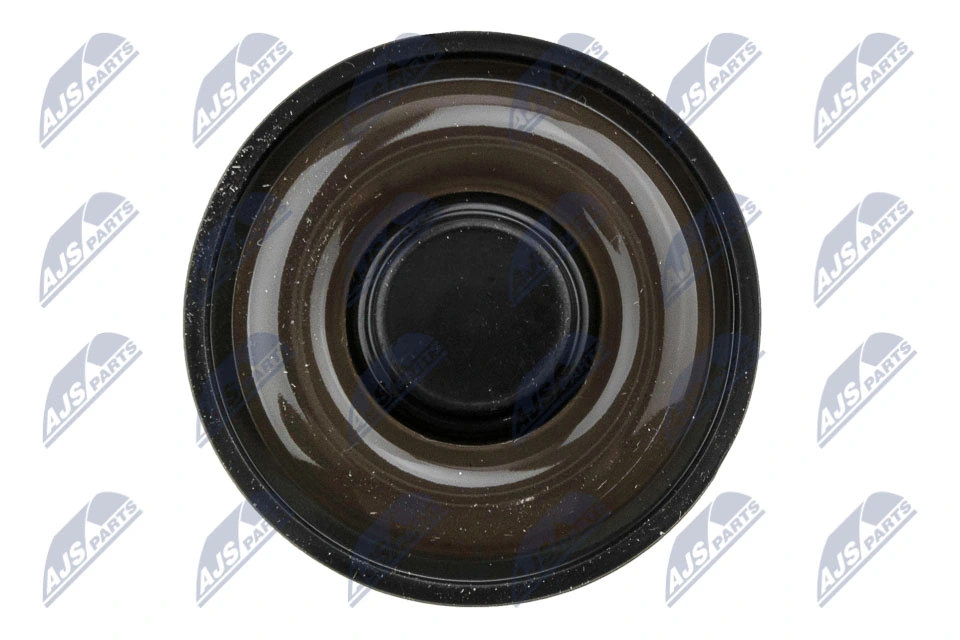 Compre BPZRE005 NTY Separador de óleo (separador) do sistema de ventilação de cárter