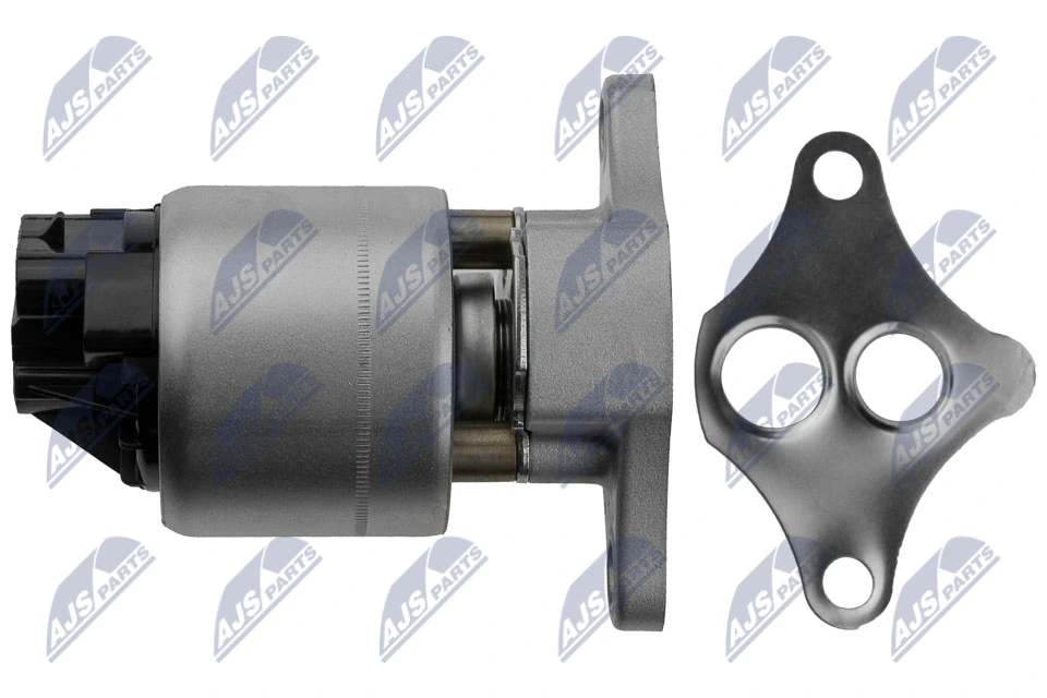 Compre EGRDW008 NTY Válvula EGR de recirculação dos gases