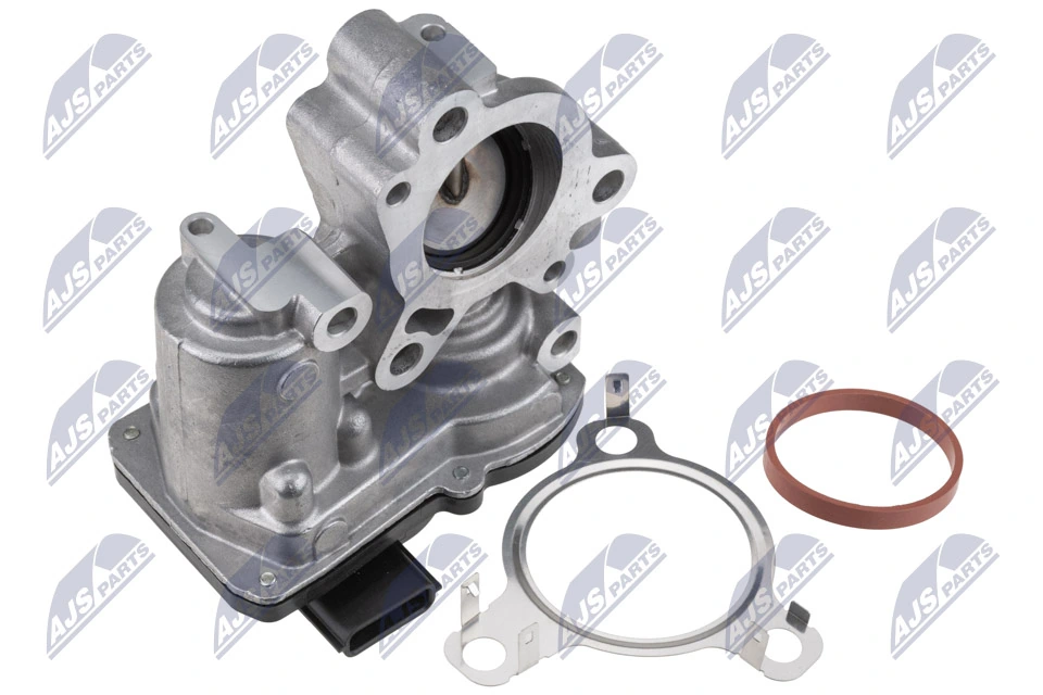 Compre Válvula EGR de recirculação dos gases Renault Scenic 