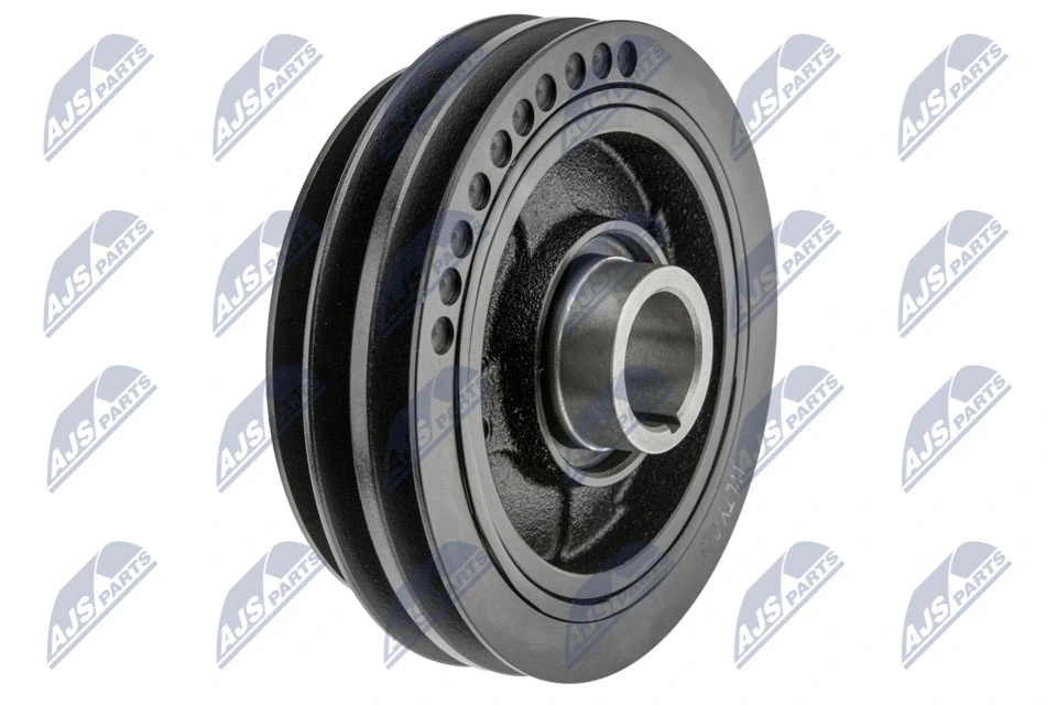 RKPTY029 NTY Polia de cambota