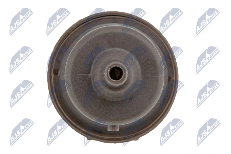 Válvula de ventilação dos gases do tanque de combustível EFPCT002 NTY