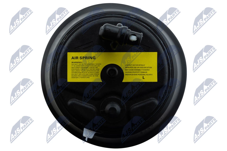 Compre EZCTY063 NTY Coxim pneumático (suspensão de lâminas pneumática) do eixo traseiro