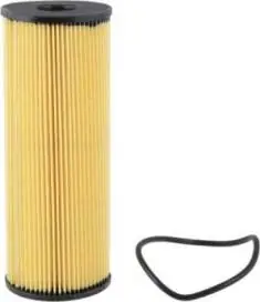 CH6848 Fram