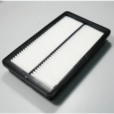 Filtro de ar Hyundai Santa Fe IV SUV (TM, TMA) (2018 - 2023) IV