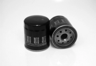 Filtro de óleo Suzuki 1651078J02000