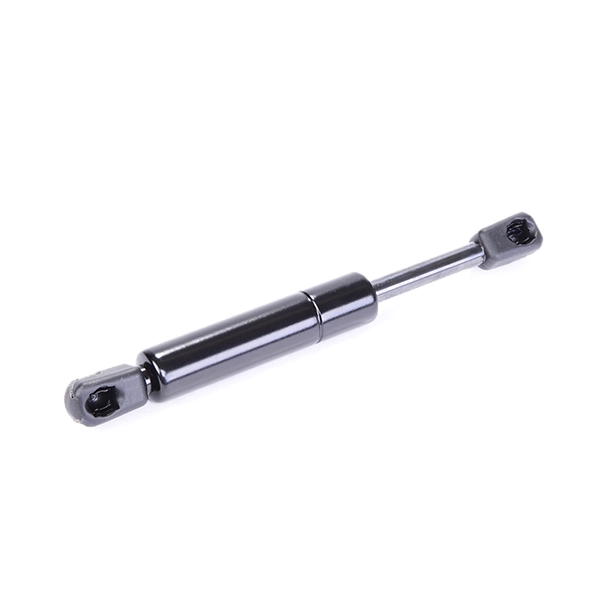 SKGS0220343 Market (OEM)