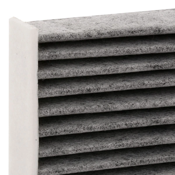 Filtro de salão SKIF0170218 Market (OEM)