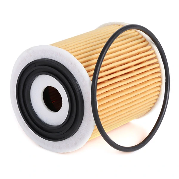 Filtro de óleo FH1100 Rover