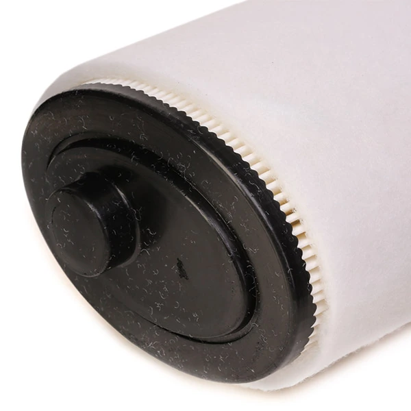 Filtro de ar SKAF0060010 Market (OEM)