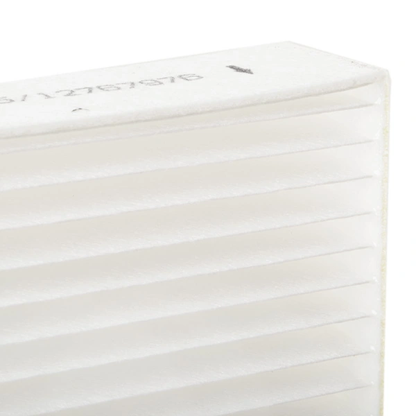 Compre SKIF0170415 Market (OEM) Filtro de salão