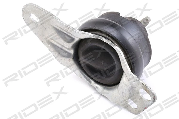 247E0494 Ridex